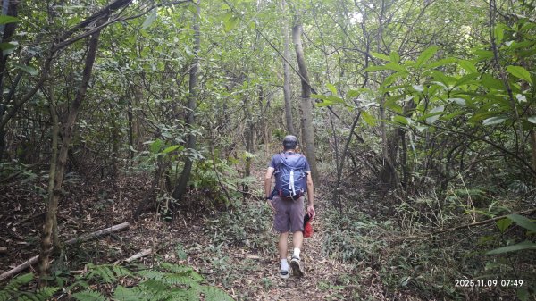 20251109 士林站到大湖站(福山宮_腰繞_燕溪古道_翠山步道_龍船岩_大溝溪)2932321