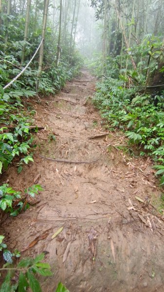 關刀山（出關古道-聖關段）苗栗小百岳1943930