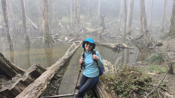 忘憂森林有一種美無法形容，雲霧繚繞，水氣朦朧，全台入園數第一名的森林遊樂區，溪頭自然教育園區2729340