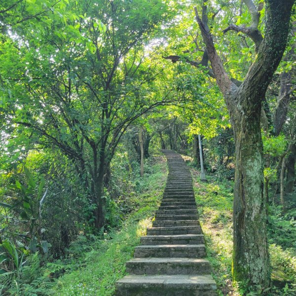 大尖山、四分尾山步道（小百岳）2132440