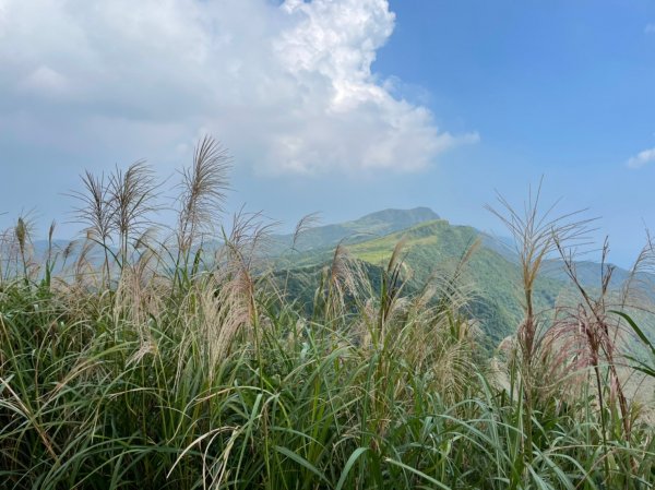 桃源谷步道(大溪線+草嶺古道線)-下大里天公廟1508089