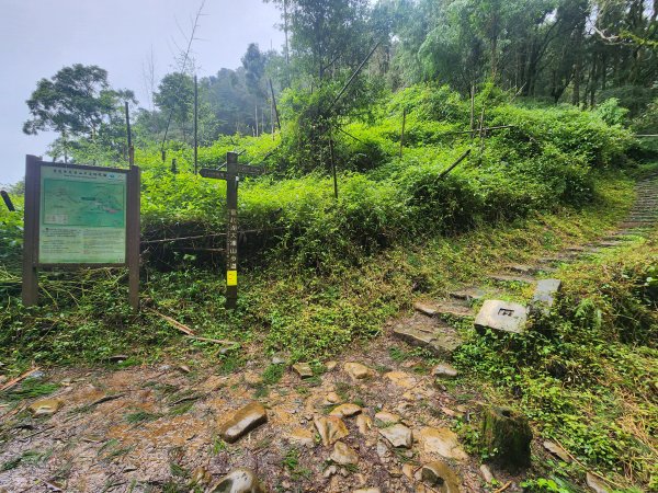 20250719頂湖上大凍山2907134