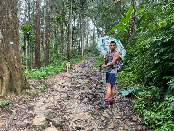 溪頭山-竹崙山-志騰山【夏日最愜意的避暑路線】2891488