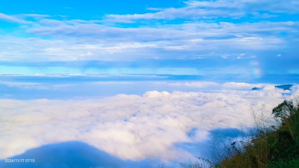 阿里山 #隙頂二延平 #頂石棹 #觀音圈 #雲海 #琉璃光 #雲瀑 #霧虹 11/172649776