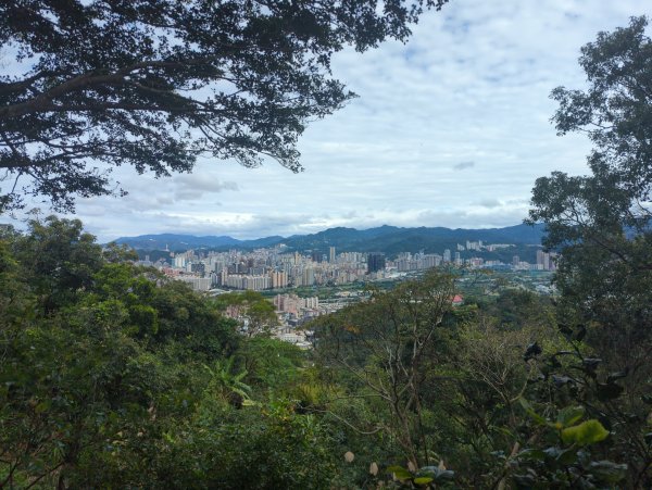 2026.01.25－微笑山線：【天上山系】烘爐地土地公段2994623