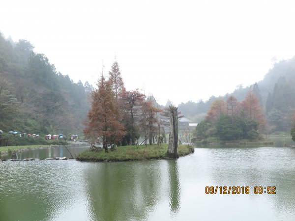 明池及粉鳥林海邊479987