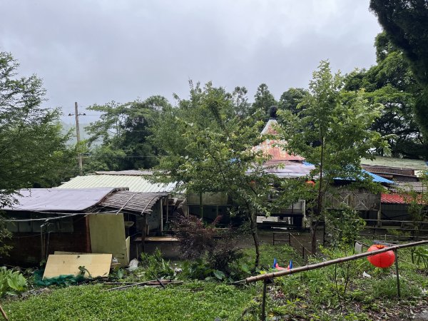 [皮皮獅探險隊-08/10] 2025_0719 李崠山步道2842967