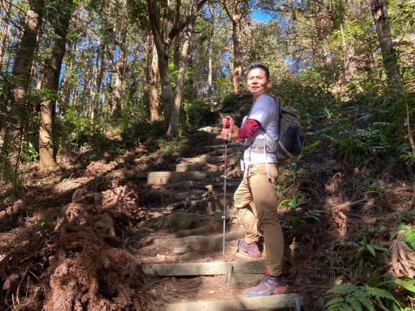 長壽山-醜崠山-鳶嘴山【既優雅又狂野的另類選擇】2673999