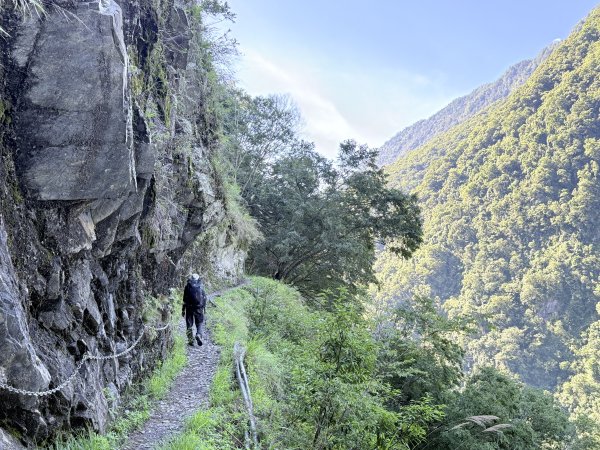 來去郡大坐龍貓公車順登對關山2822329