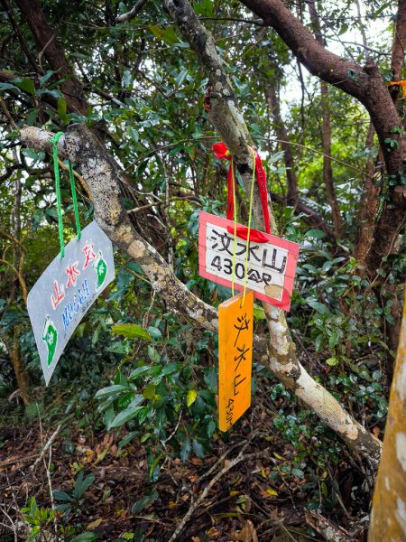 2025-03-08 汶水三山：金童山、汶水山、玉女山 連走2736532