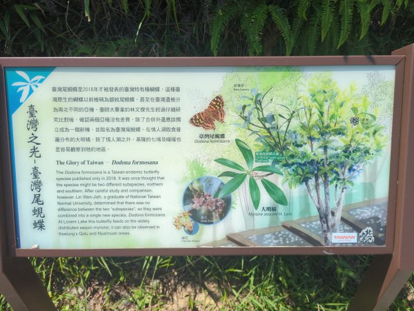 2025.09.13－情人湖步道&大武崙山2885823