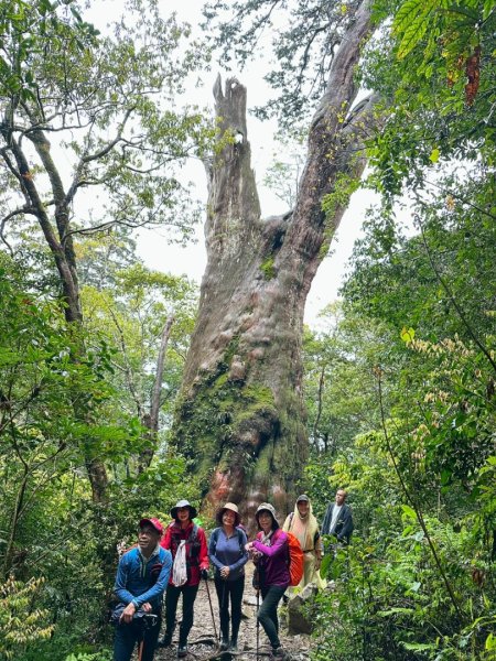 北得拉曼-20204062859892