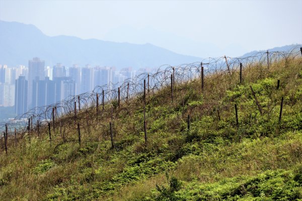 HK - 鐵坑，蛇嶺1268073