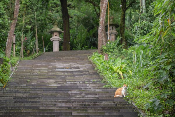 台北大縱走第七段 指南宮千階步道-樟山寺1742803