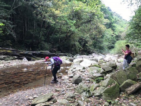 哈勘尼山-河谷O型908642