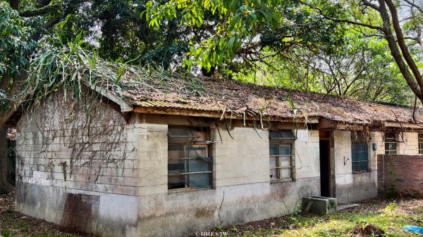 【台灣健行】霧峰．光復：日光滲透的紅磚記憶。3034095