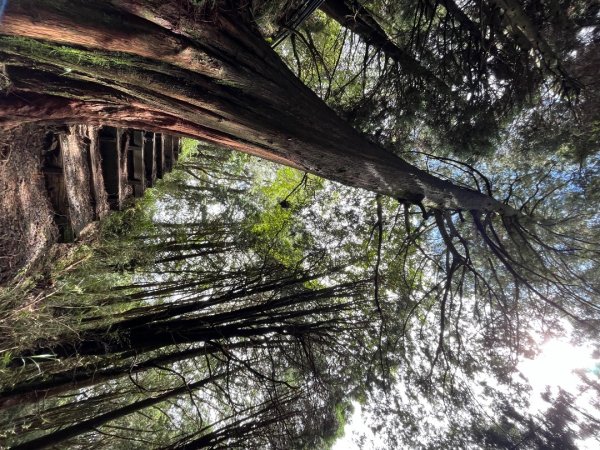 20230925_大塔山（嘉義線小百岳）2762818