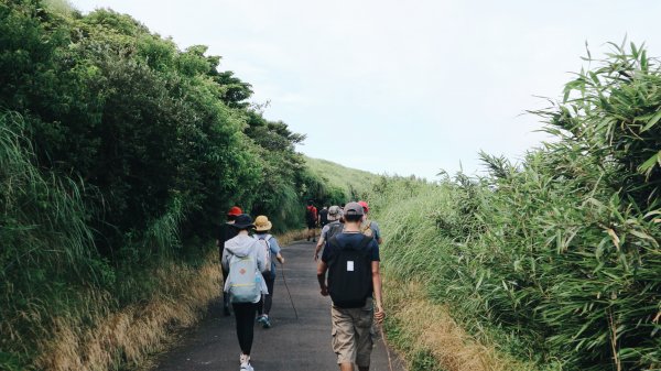 大屯山O型|一起來走陽明山縱走西段1005033