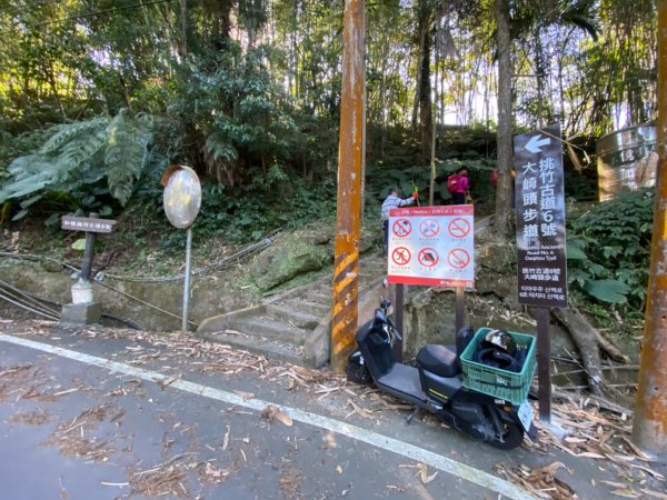 鹿谷大崙尾山、和雅挑竹古道7號、和雅挑竹古道6號O型走2425935