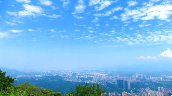 黑端建斑蝶（斐豹蛺蝶）3068596