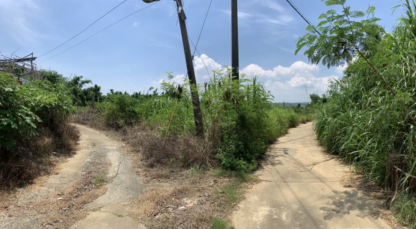 20250628高雄上平山2826355