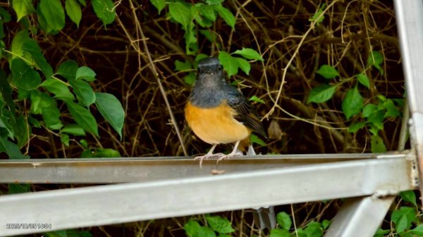 🌈10/5（日）熊熊趴爬走九歲~🥰✨FB：熊熊趴爬走 🌈2906022