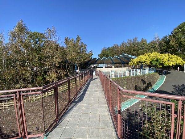 《金瑞治水園區開跑｜重訪金龍產道與碧山營地的暖陽晨跑》2951619