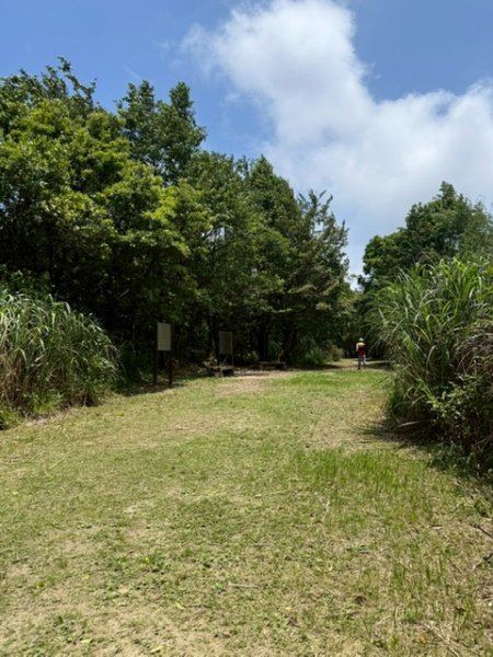 20250502 安坑七山2775096