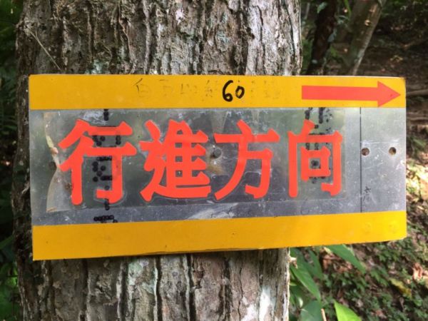 白石山步道（桃園）333059