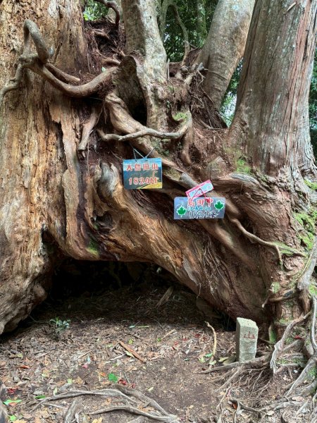 2025.07.05－高島縱走2828179