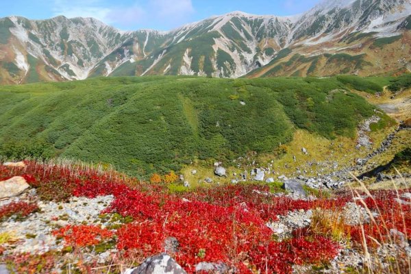 [立山黑部〕一天內七種交通工具。立山車站 美女平 彌陀原  室堂 立山 大觀峰 黑部平 黑部湖 扇沢