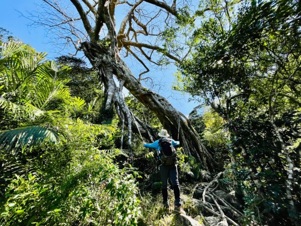 1150123里龍山2986679