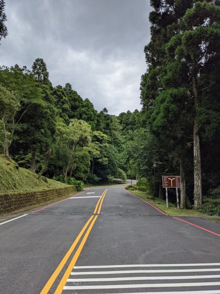 東眼山國家森林遊樂區1055997