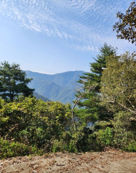 【中級山】邑治第一山，守城大山，連走守關山，守關山南峰2740891