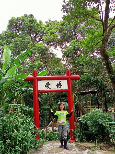 【臺北大縱走 5】劍潭山→圓明寺步道口+圓山水神社、婆婆橋步道1560398