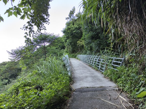 [玉山尋寶任務-07/12] 2025_0824 八通關雲龍瀑布步道2870443