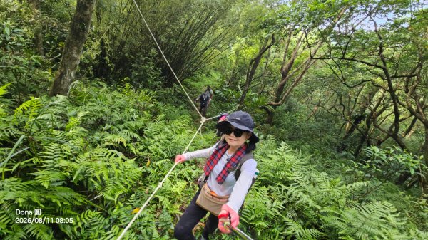 艋舺崙古道上新路尾山連走大平林山古厝O走3102728