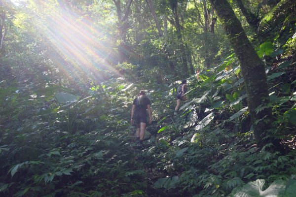 新竹尖石鄉 煤源社區上李棟山、大混山出凌空廊道2550485