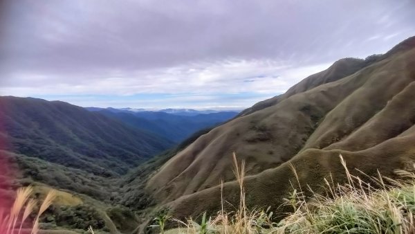 登山加美食之宜蘭抹茶山
