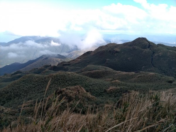 1081215陽明山主，東峰O型走走散步776230
