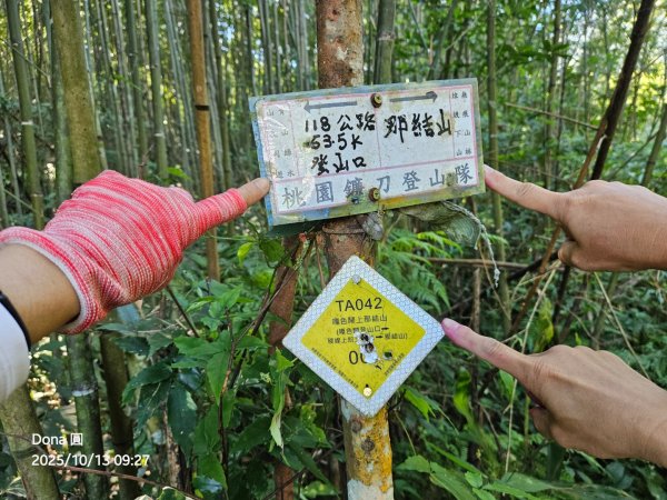 復興三尖老么之那結山1520m(嘎色鬧上)全紀錄2915474