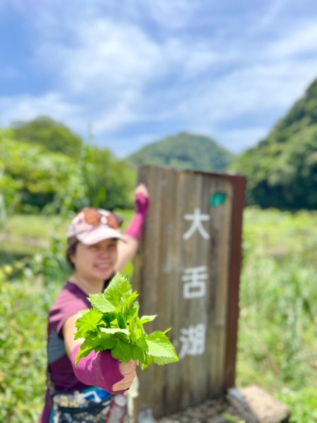 坪林大舌湖/蘇澳七星嶺2515987