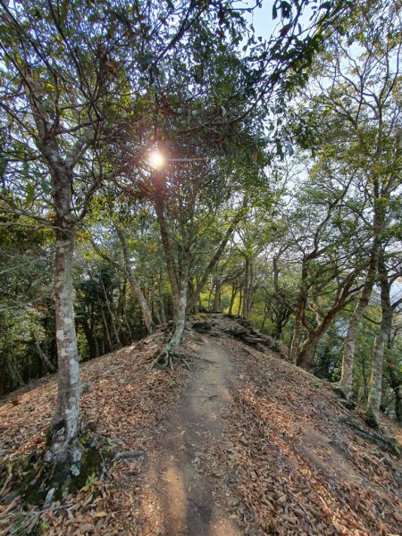 【丹大林道】卡社山&拉夫郞山西北峰1310520