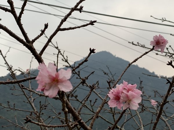 20231125台中谷關七雄東卯山2365255