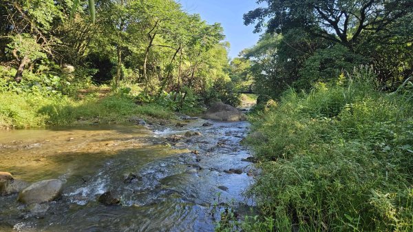 20251107大路崁登山步道-磺溪頭清水園區2930796