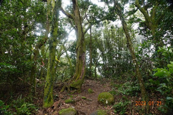 新竹 芎林 雞寮坑山、下橫坑山、芎蕉窩山、牛欄窩山2002468