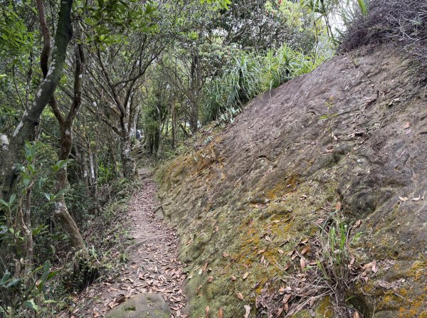 [微笑山線_第八段] 2026_0411 二格山系_筆架山南峰3035196