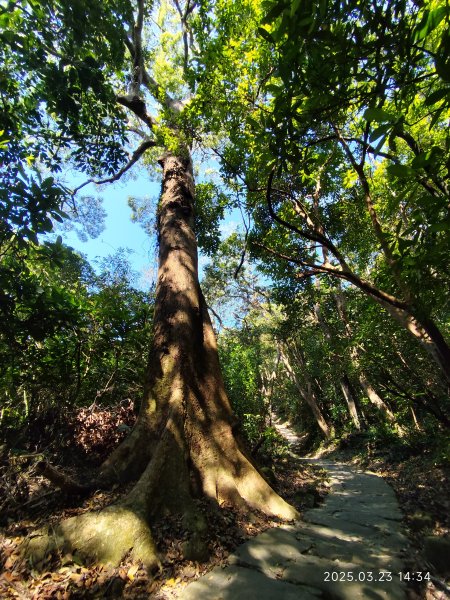 【臺北大縱走 5】碧山巖→忠勇山越嶺步道→金龍產業道路→圓明寺步道→鄭成功廟步道→文間山→劍潭山步道2744833