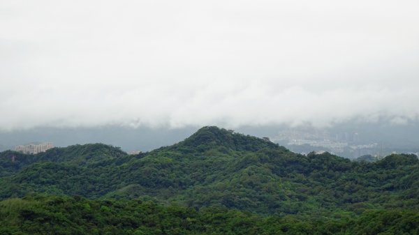 汐止八連路1716773