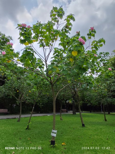 大安森林公園【走路趣尋寶】【臺北健走趣】2541533